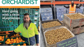 The Orchadist magazine cover next to a photo of a surplus produce donation from Golden Bay Fruits